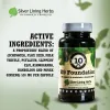 K9 Foundation Herbal Supplement for Dogs 90 Capsules