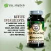 Brain and Nerve Support Supplement for Dogs 90 Capsules