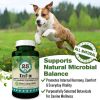 Inf X Herbal Immune and Lymphatic Support Supplement for Dogs