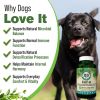 Inf X Herbal Immune and Lymphatic Support Supplement for Dogs