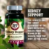 Kidney Support Supplement for Dogs 90 Capsules