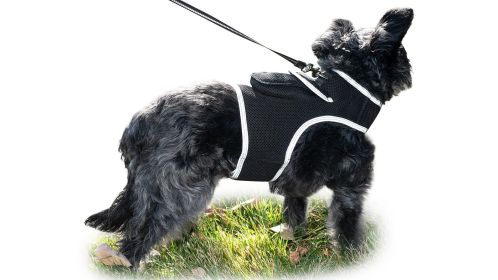 GPS Tracking Collar for Dogs with Real Time Location Updates Size Small
