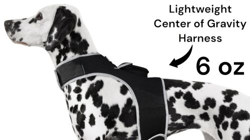 Mini GPS Tracking Collar for Dogs Real Time Location Tracking Size Large