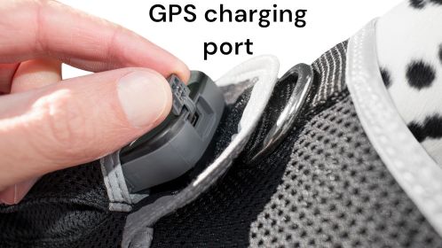 Mini GPS Tracking Collar for Dogs Real Time Location Tracking Size Medium