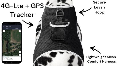 Long Range GSM GPS Tracking Collar for Hunting Dogs Size Large