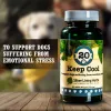 Keep Cool Herbal Supplement for Dogs 90 Capsules