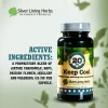 Keep Cool Herbal Supplement for Dogs 90 Capsules