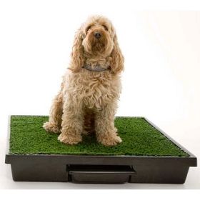 PetSafe Pet Loo Medium Indoor Dog Potty Training System PWM00-14498
