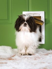 PetSafe Extreme Weather Plastic Frame Dog & Cat Door (size: small)