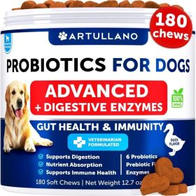 Dog Probiotics and Digestive Enzymes with Prebiotics for Gut Health and Immune Support (Option: Artullano)