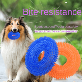2 Pack Squeaky Dog Chew Balls for Teeth Cleaning and Dental Chewing (Color: Blue, size: large size)