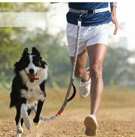 Hands Free Waist Dog Leash with Reflective Bungee and Dual Handles for Medium and Large Dogs (colour: Orange -4211, Specification (L * W): 2.5*160cm)