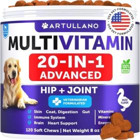 Dog Multivitamin Chews with Glucosamine for Joint and Overall Health Support (Option: Artullano)