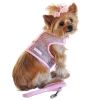 Cool Mesh Dog Harness and Leash Set