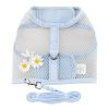 Cool Mesh Dog Harness and Leash Set