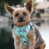 Doggie Design Wrap and Snap Choke Free Dog Harness