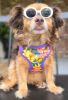 Doggie Design Wrap and Snap Choke Free Dog Harness
