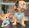 Doggie Design Wrap and Snap Choke Free Dog Harness